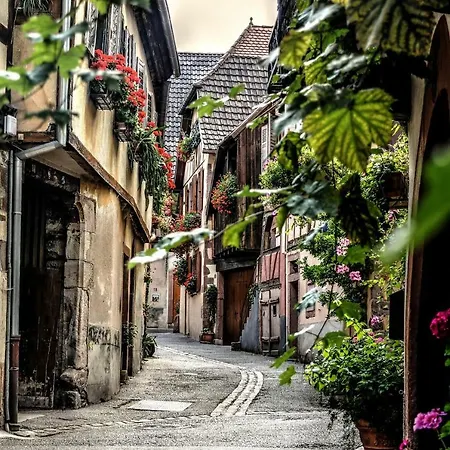 Manala * Colmar